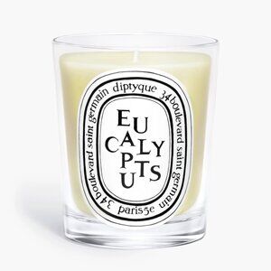 New In Box Diptyque Paris Eucalyptus Classic Candle 6.5oz
